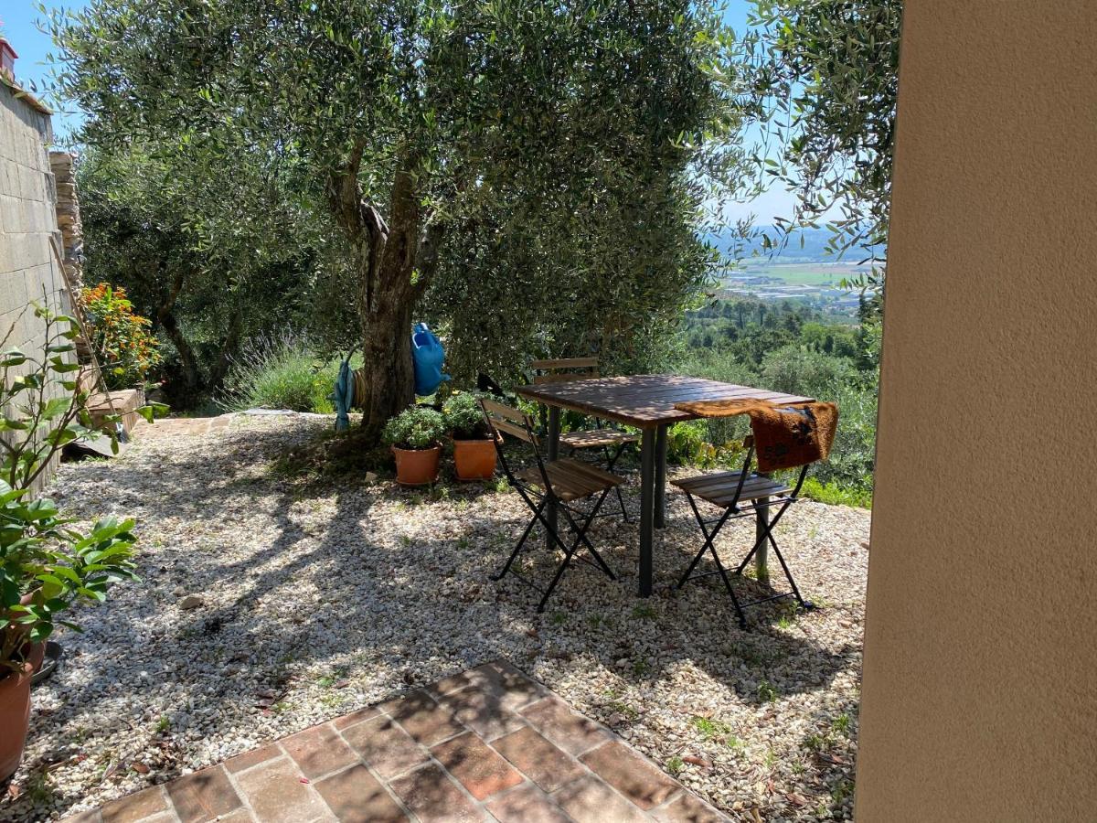 Rivolta Home Buti Exterior photo